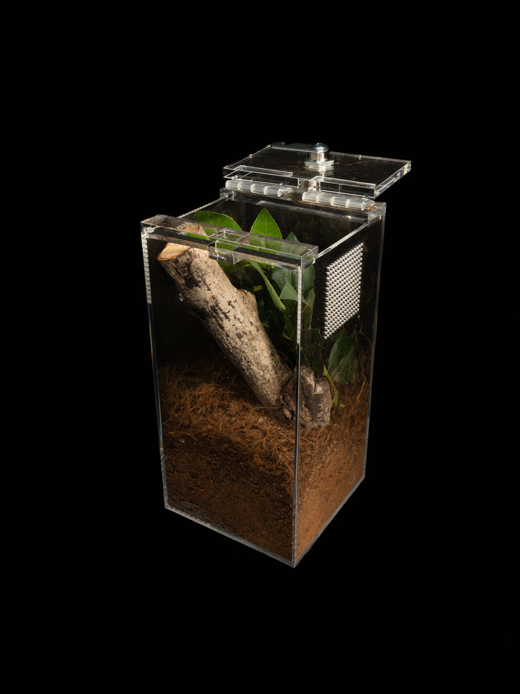 - Aphid - Mini Enclosure 12cmx12cmx24cm