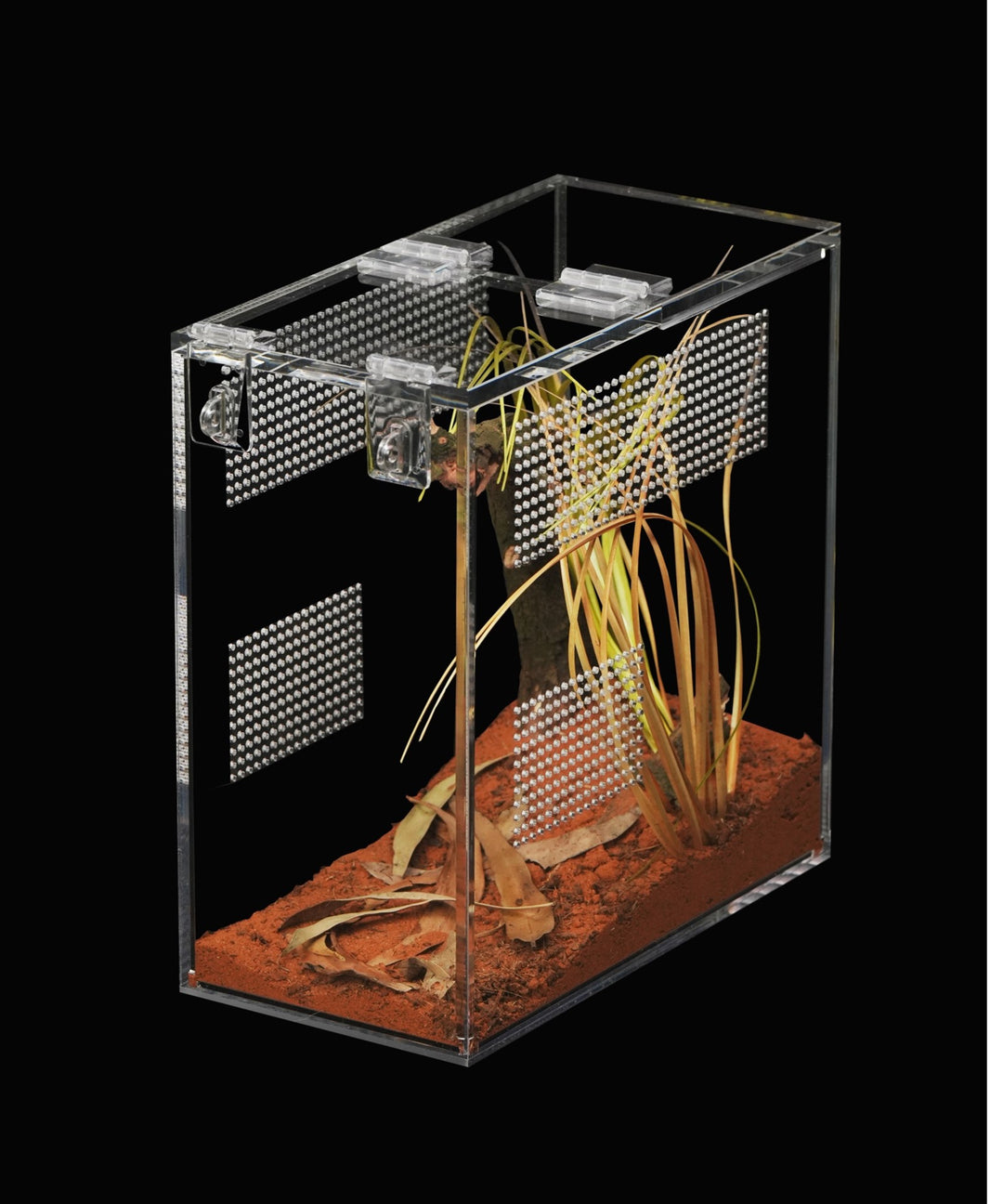 Acrylic Enclosures – Dockrill Habitats