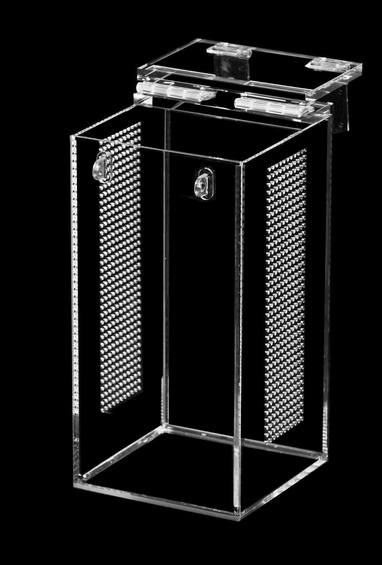 - Mayfly - Mini Enclosure 12cmx12cmx24cm – Dockrill Habitats