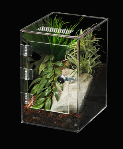 - Tarantula - Medium Enclosure 18cm*24cm*28cm