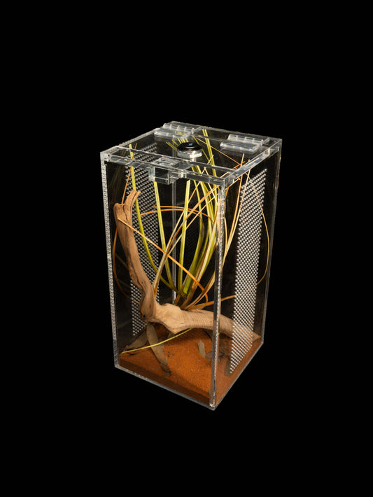 - Mayfly - Mini Enclosure 12cmx12cmx24cm