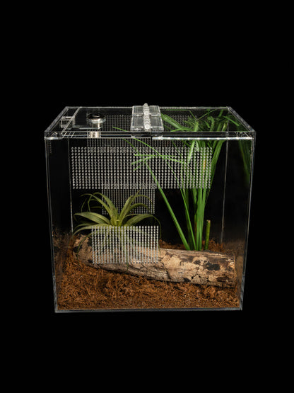 - Mantis - Small Enclosure 24cmx12cmx24cm