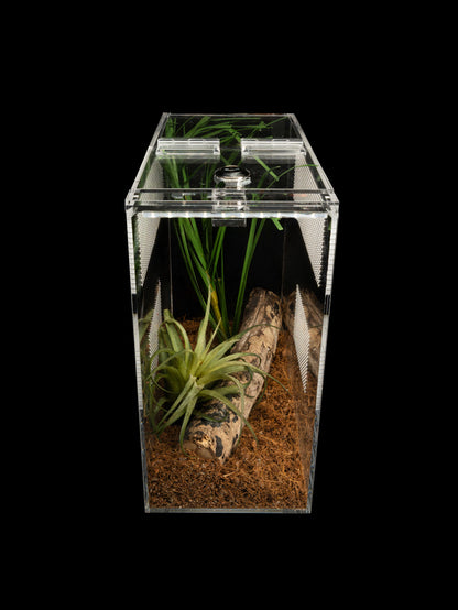 - Mantis - Small Enclosure 24cmx12cmx24cm