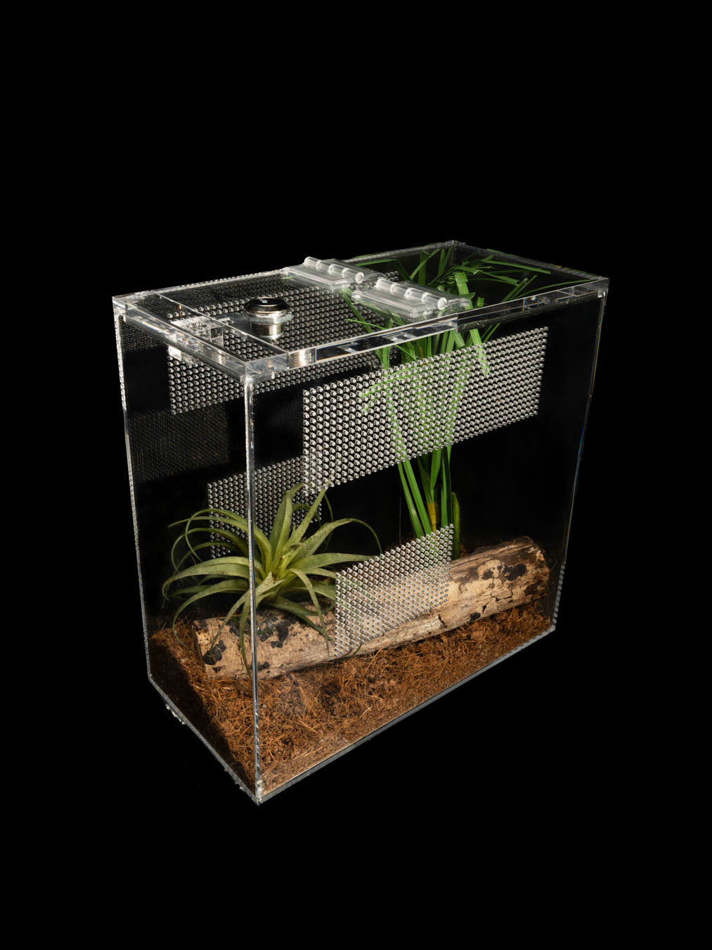 - Mantis - Small Enclosure 24cmx12cmx24cm