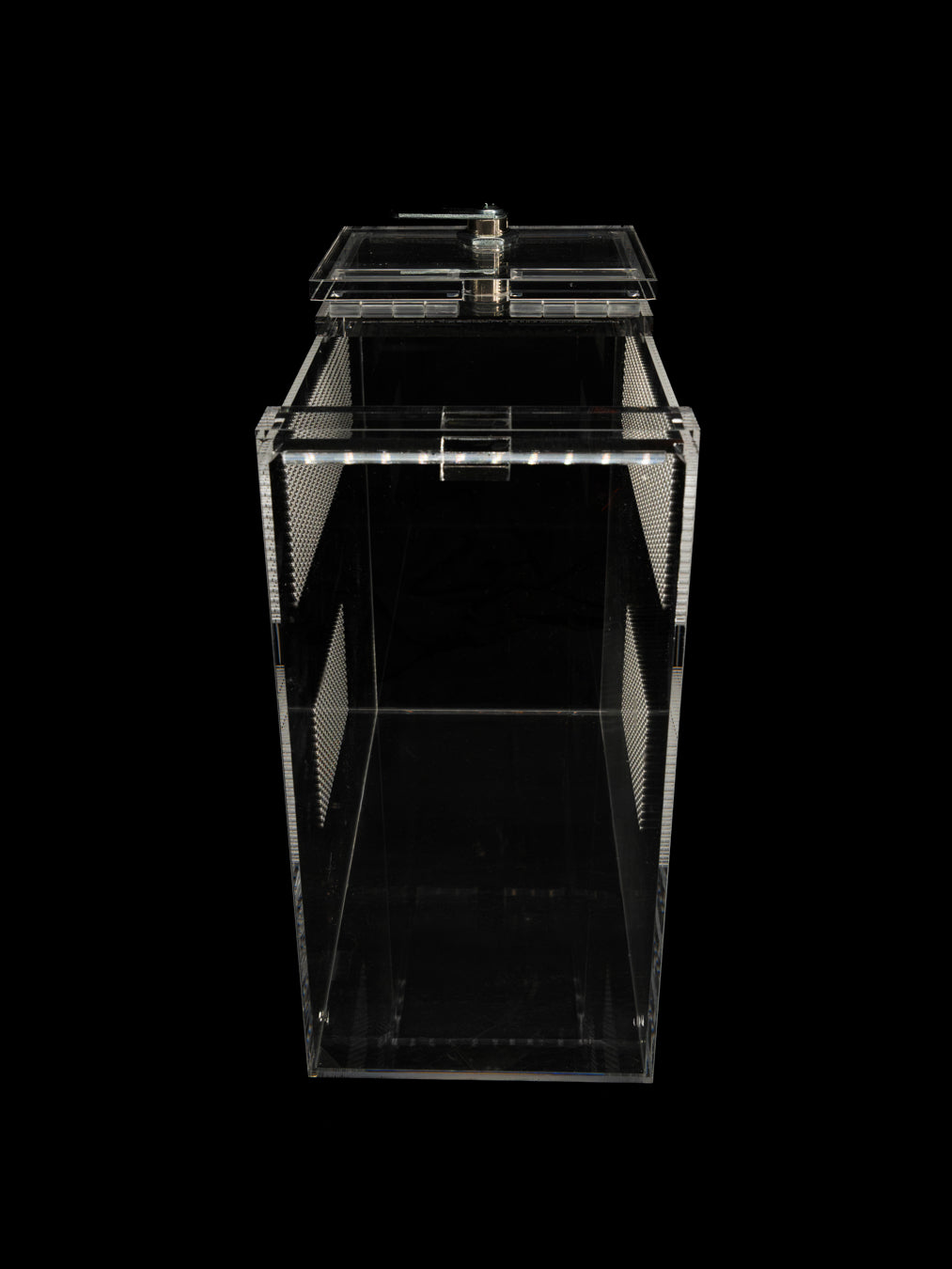 - Mantis - Small Enclosure 24cmx12cmx24cm