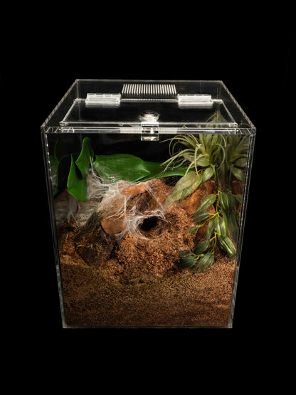 - The Burrow - Standard Enclosure 24cmx24cmx30cm