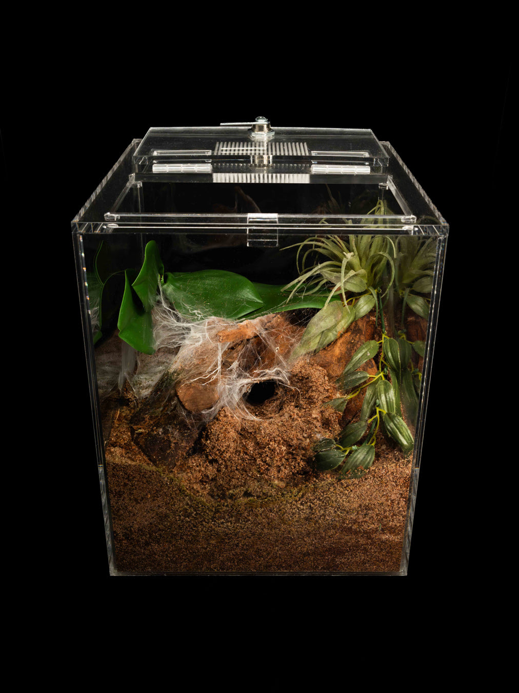 - The Burrow - Standard Enclosure 24cmx24cmx30cm