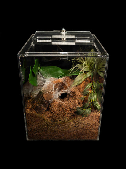 - The Burrow - Standard Enclosure 24cmx24cmx30cm
