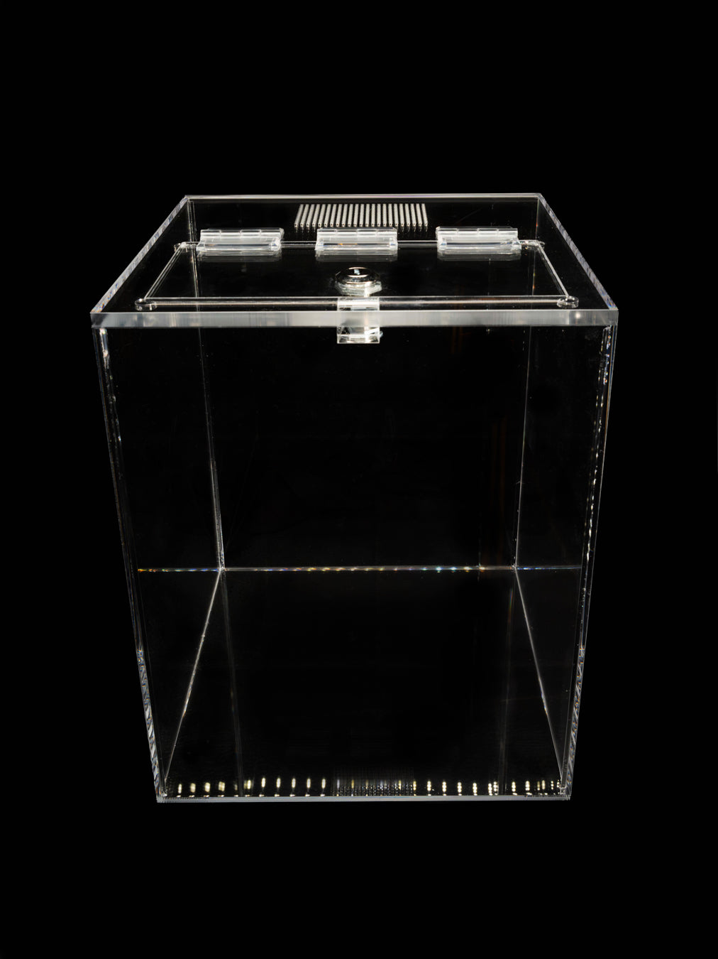 - The Burrow - Standard Enclosure 24cmx24cmx30cm