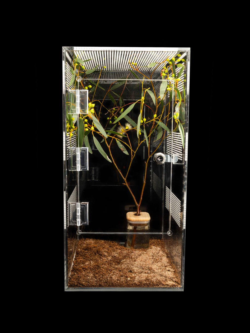 - Spiney - Tall Enclosure 24cm*24cm*48cm