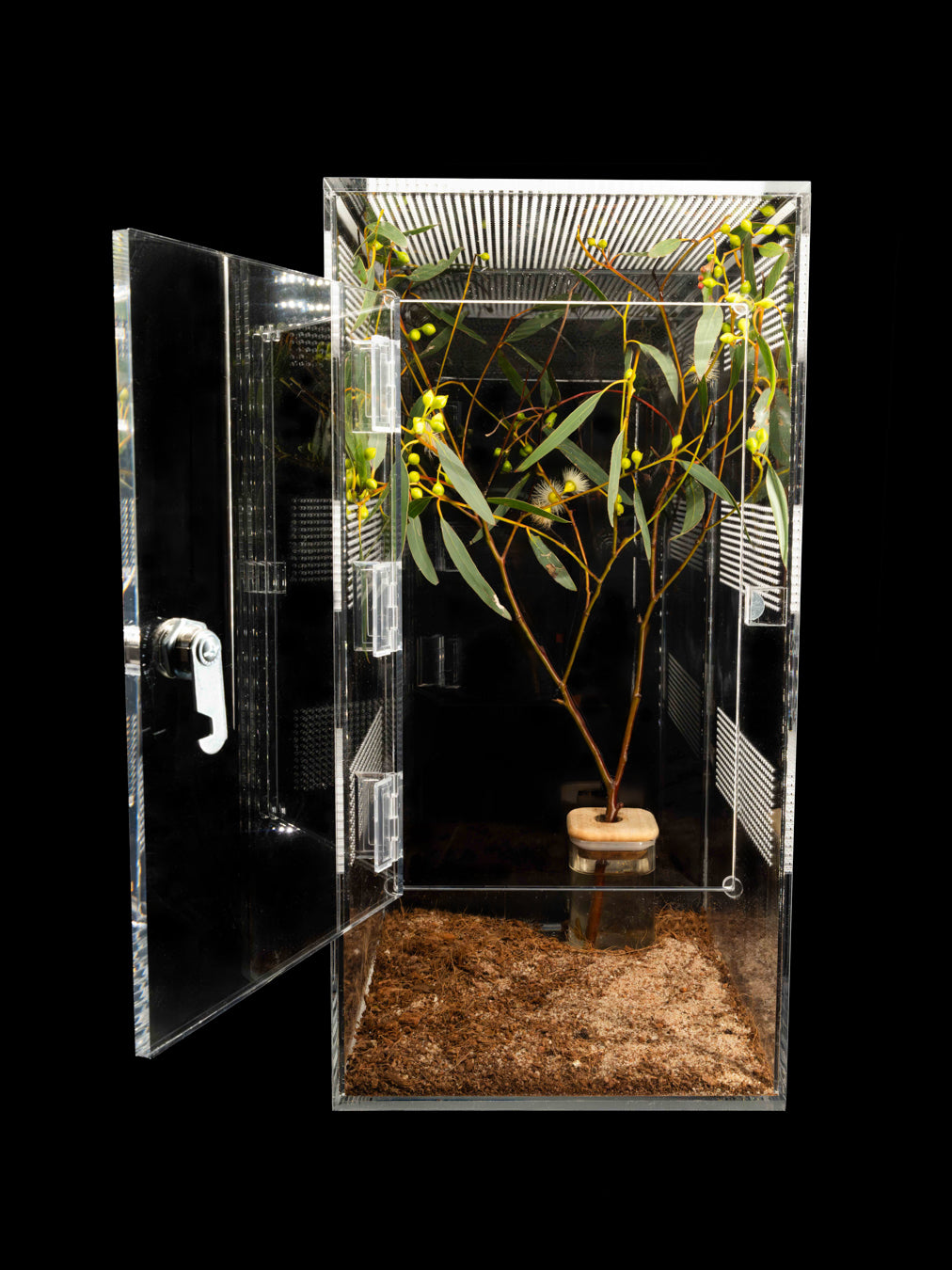 - Spiney - Tall Enclosure 24cm*24cm*48cm