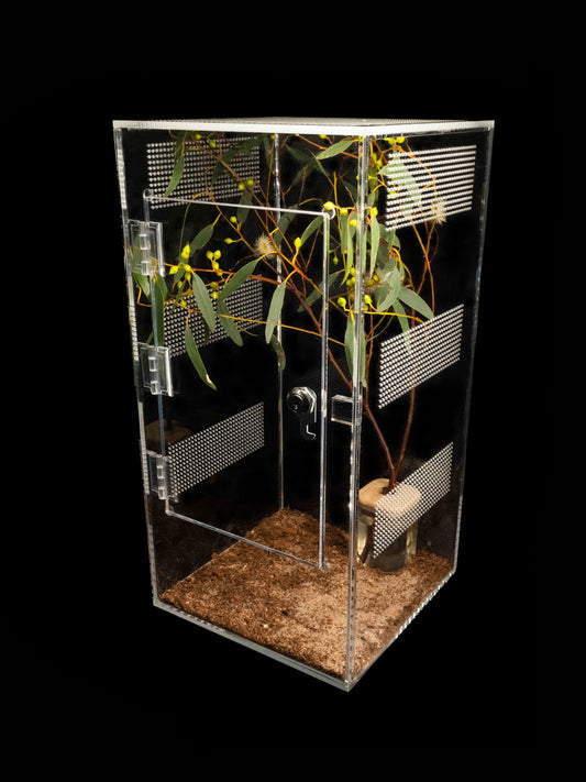 - Spiney - Tall Enclosure 24cm*24cm*48cm