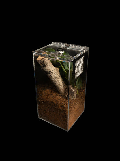 - Aphid - Mini Enclosure 12cmx12cmx24cm